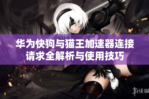 华为快狗与猫王加速器连接请求全解析与使用技巧