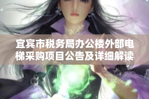宜宾市税务局办公楼外部电梯采购项目公告及详细解读