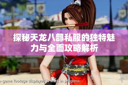 探秘天龙八部私服的独特魅力与全面攻略解析