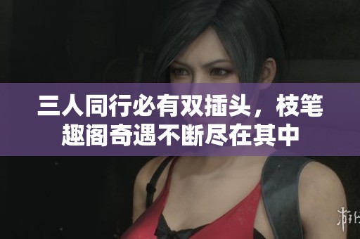 三人同行必有双插头，枝笔趣阁奇遇不断尽在其中