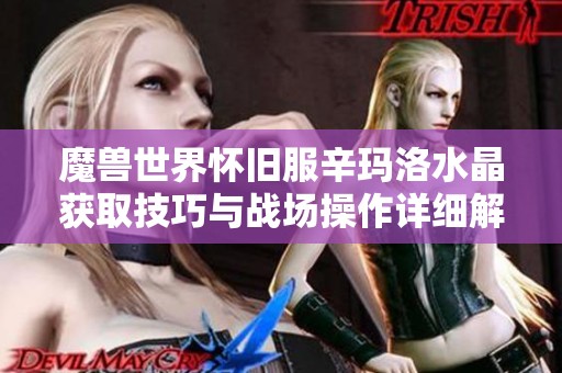 魔兽世界怀旧服辛玛洛水晶获取技巧与战场操作详细解析