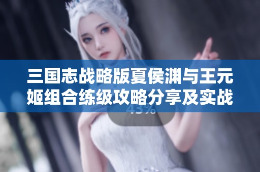 三国志战略版夏侯渊与王元姬组合练级攻略分享及实战技巧解析