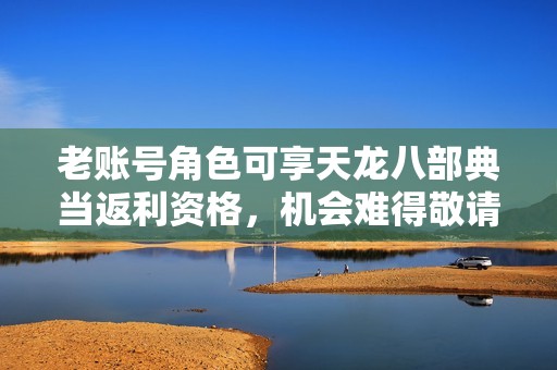 老账号角色可享天龙八部典当返利资格，机会难得敬请关注
