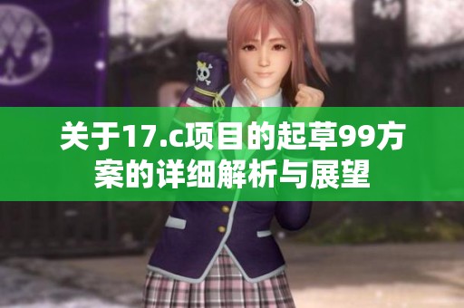 关于17.c项目的起草99方案的详细解析与展望
