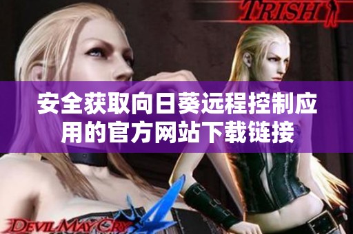 安全获取向日葵远程控制应用的官方网站下载链接