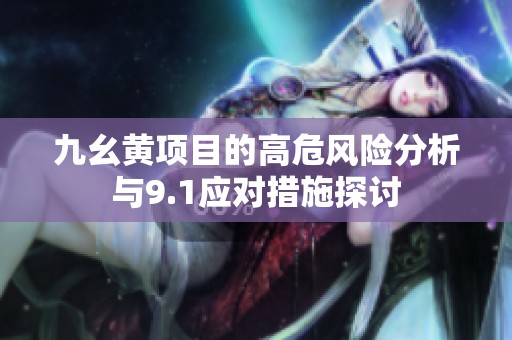 九幺黄项目的高危风险分析与9.1应对措施探讨