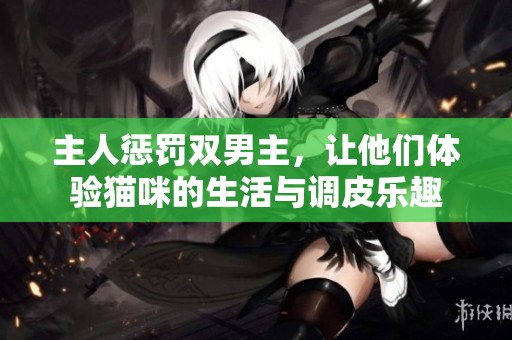 主人惩罚双男主，让他们体验猫咪的生活与调皮乐趣