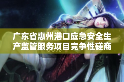 广东省惠州港口应急安全生产监管服务项目竞争性磋商通知公告