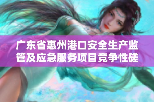 广东省惠州港口安全生产监管及应急服务项目竞争性磋商公告分析