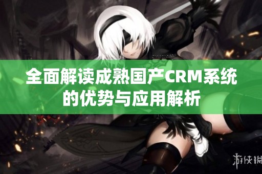 全面解读成熟国产CRM系统的优势与应用解析