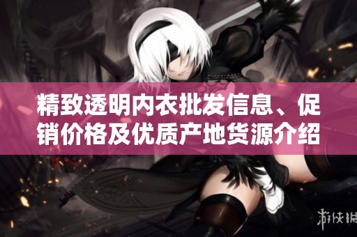 精致透明内衣批发信息、促销价格及优质产地货源介绍