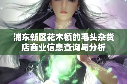 浦东新区花木镇的毛头杂货店商业信息查询与分析