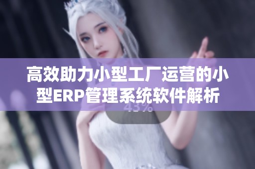 高效助力小型工厂运营的小型ERP管理系统软件解析