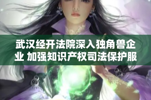 武汉经开法院深入独角兽企业 加强知识产权司法保护服务体系