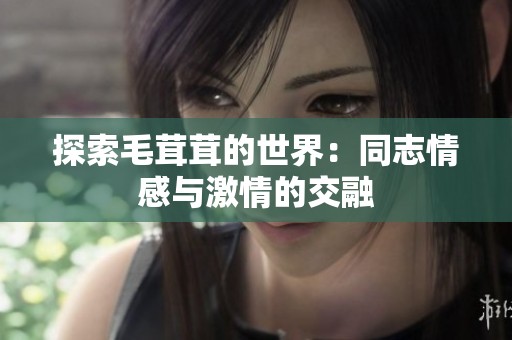 探索毛茸茸的世界：同志情感与激情的交融