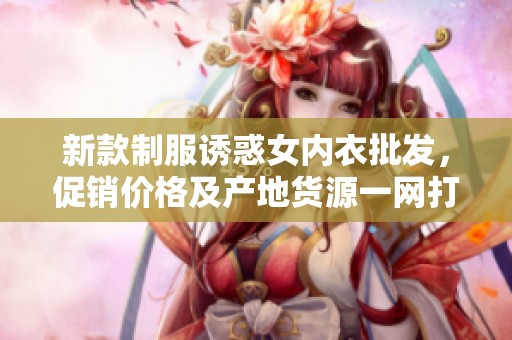 新款制服诱惑女内衣批发，促销价格及产地货源一网打尽