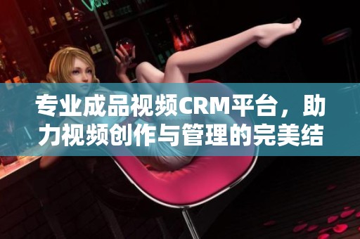 专业成品视频CRM平台，助力视频创作与管理的完美结合