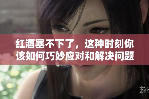 红酒塞不下了，这种时刻你该如何巧妙应对和解决问题