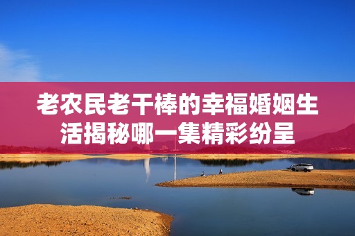 老农民老干棒的幸福婚姻生活揭秘哪一集精彩纷呈