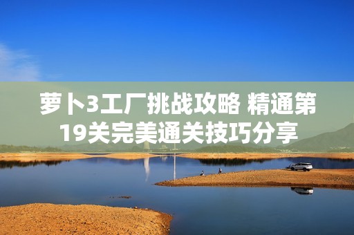 萝卜3工厂挑战攻略 精通第19关完美通关技巧分享
