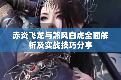 赤炎飞龙与煞风白虎全面解析及实战技巧分享