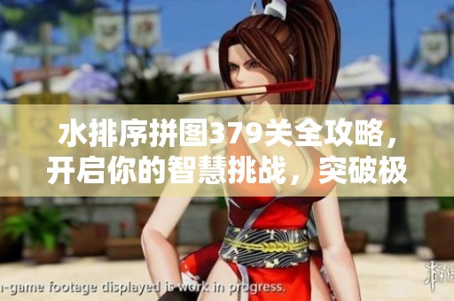水排序拼图379关全攻略，开启你的智慧挑战，突破极限关卡！