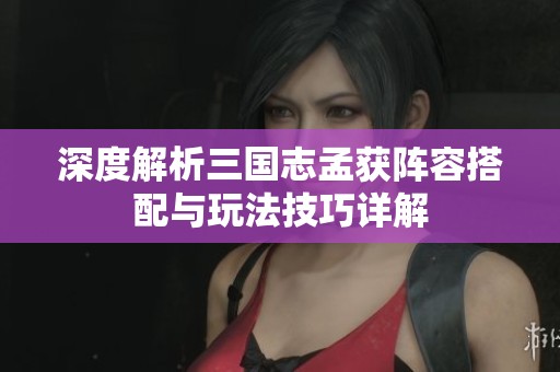 深度解析三国志孟获阵容搭配与玩法技巧详解