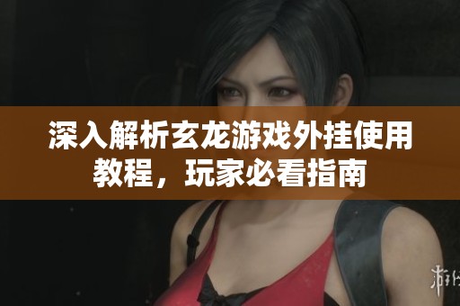 深入解析玄龙游戏外挂使用教程，玩家必看指南