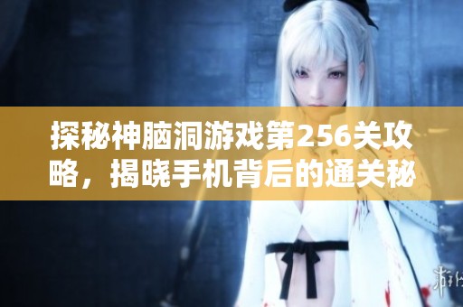 探秘神脑洞游戏第256关攻略，揭晓手机背后的通关秘笈