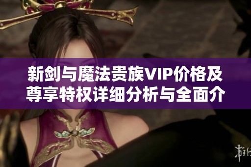 新剑与魔法贵族VIP价格及尊享特权详细分析与全面介绍