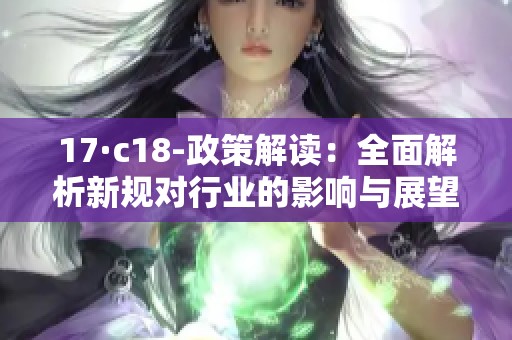 17·c18-政策解读：全面解析新规对行业的影响与展望
