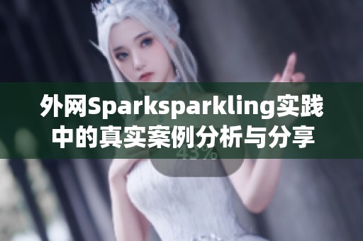 外网Sparksparkling实践中的真实案例分析与分享