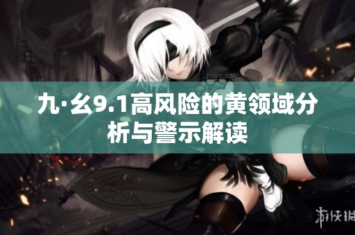 九·幺9.1高风险的黄领域分析与警示解读
