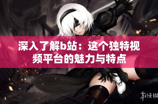 深入了解b站：这个独特视频平台的魅力与特点