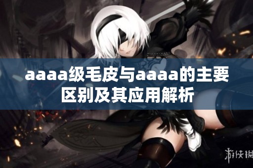 aaaa级毛皮与aaaa的主要区别及其应用解析