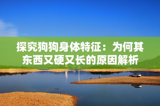探究狗狗身体特征：为何其东西又硬又长的原因解析