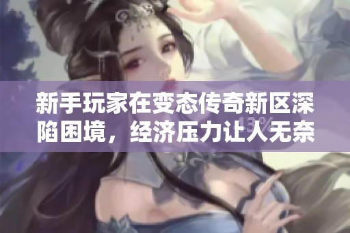新手玩家在变态传奇新区深陷困境，经济压力让人无奈
