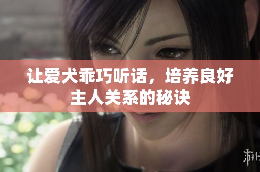 让爱犬乖巧听话，培养良好主人关系的秘诀
