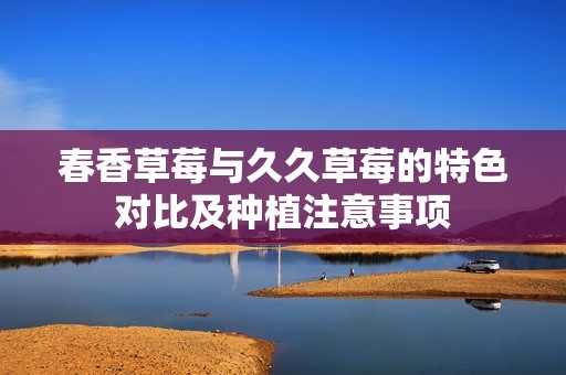 春香草莓与久久草莓的特色对比及种植注意事项
