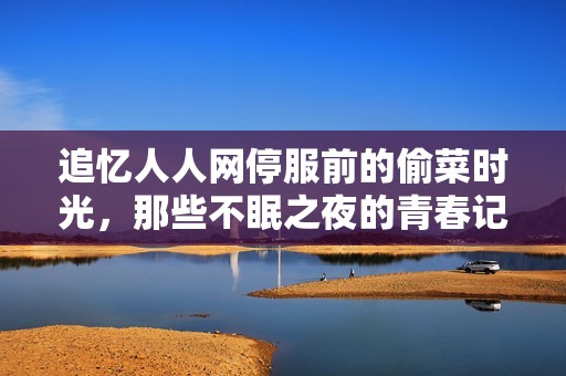 追忆人人网停服前的偷菜时光，那些不眠之夜的青春记忆