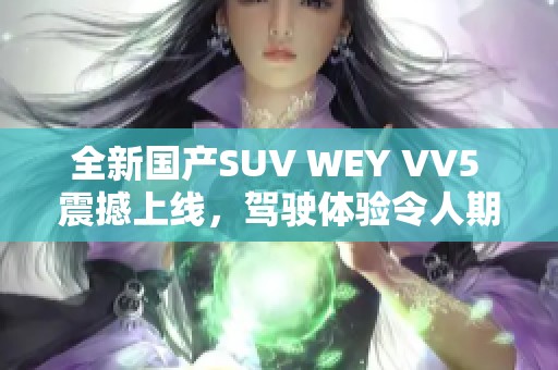 全新国产SUV WEY VV5 震撼上线，驾驶体验令人期待