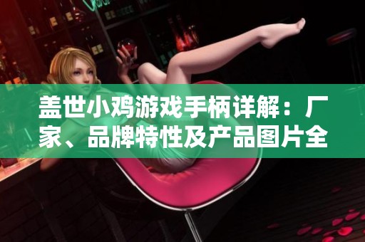 盖世小鸡游戏手柄详解：厂家、品牌特性及产品图片全收录