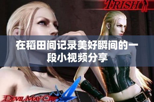 在稻田间记录美好瞬间的一段小视频分享