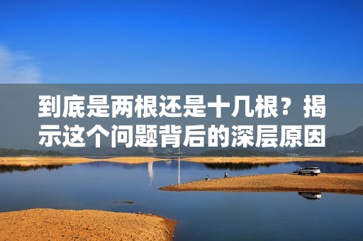 到底是两根还是十几根？揭示这个问题背后的深层原因与影响