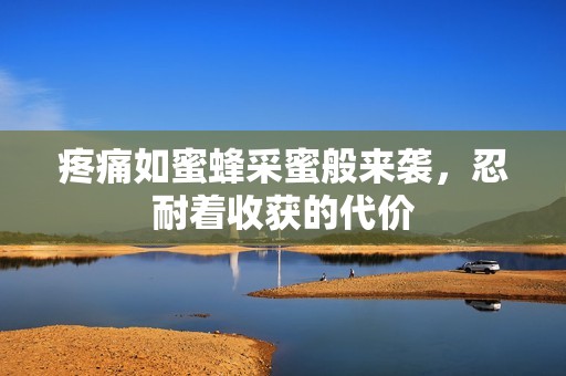 疼痛如蜜蜂采蜜般来袭，忍耐着收获的代价