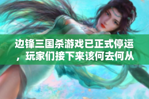 边锋三国杀游戏已正式停运，玩家们接下来该何去何从？
