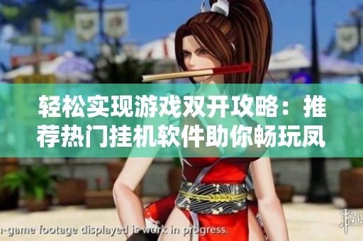 轻松实现游戏双开攻略：推荐热门挂机软件助你畅玩凤凰无双