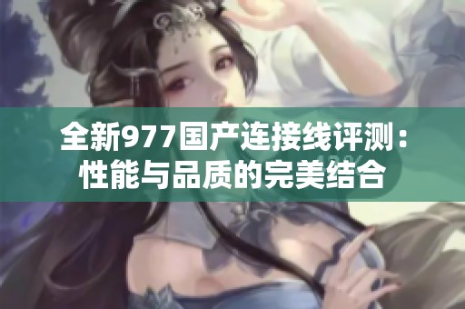 全新977国产连接线评测：性能与品质的完美结合