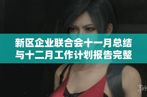 新区企业联合会十一月总结与十二月工作计划报告完整版
