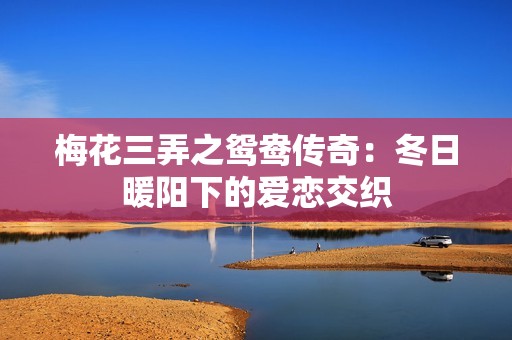 梅花三弄之鸳鸯传奇：冬日暖阳下的爱恋交织